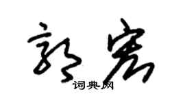 朱錫榮郭宏草書個性簽名怎么寫