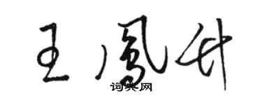 駱恆光王鳳竹草書個性簽名怎么寫