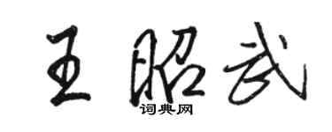 駱恆光王昭武行書個性簽名怎么寫
