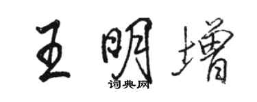 駱恆光王明增行書個性簽名怎么寫