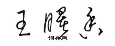 駱恆光王曙香草書個性簽名怎么寫