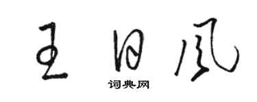 駱恆光王日風草書個性簽名怎么寫