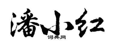 胡問遂潘小紅行書個性簽名怎么寫