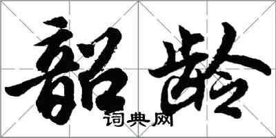 胡問遂韶齡行書怎么寫