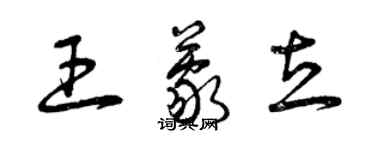 曾慶福王蒙立草書個性簽名怎么寫