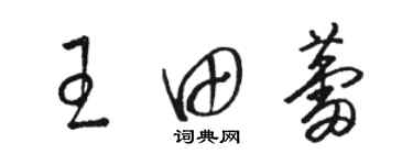 駱恆光王田蕾草書個性簽名怎么寫