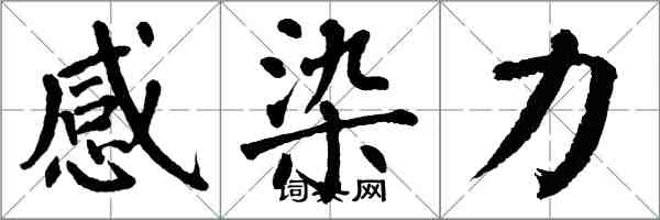 翁闓運感染力楷書怎么寫