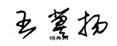 朱錫榮王冀揚草書個性簽名怎么寫