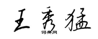 王正良王秀猛行書個性簽名怎么寫