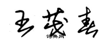 朱錫榮王茂春草書個性簽名怎么寫
