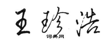 駱恆光王珍浩行書個性簽名怎么寫