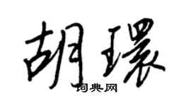 王正良胡環行書個性簽名怎么寫