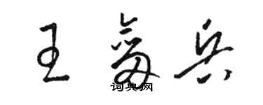 駱恆光王劍兵草書個性簽名怎么寫