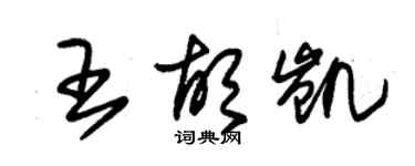 朱錫榮王胡凱草書個性簽名怎么寫