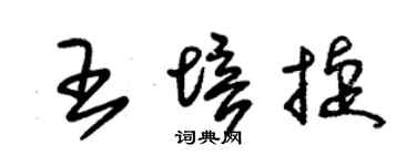 朱錫榮王培捷草書個性簽名怎么寫