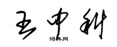 朱錫榮王中科草書個性簽名怎么寫