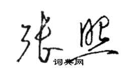 駱恆光張照草書個性簽名怎么寫