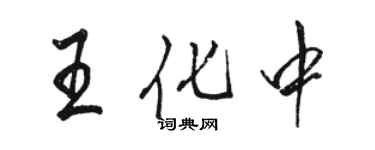 駱恆光王化中行書個性簽名怎么寫