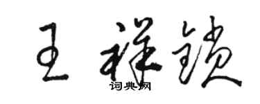 駱恆光王祥鎖草書個性簽名怎么寫