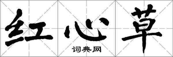 翁闓運紅心草楷書怎么寫