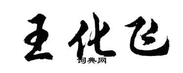 胡問遂王化飛行書個性簽名怎么寫