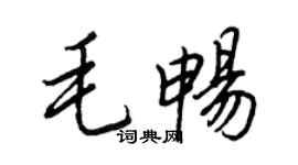 王正良毛暢行書個性簽名怎么寫