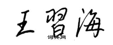 王正良王習海行書個性簽名怎么寫