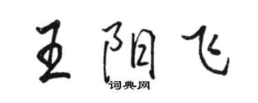 駱恆光王陽飛行書個性簽名怎么寫