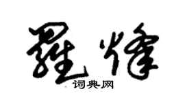 朱錫榮羅烽草書個性簽名怎么寫