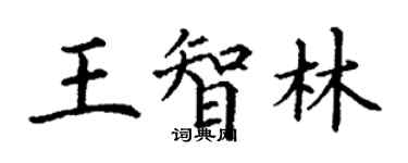 丁謙王智林楷書個性簽名怎么寫