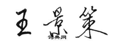 駱恆光王景策行書個性簽名怎么寫