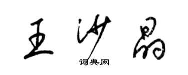 梁錦英王沙晶草書個性簽名怎么寫