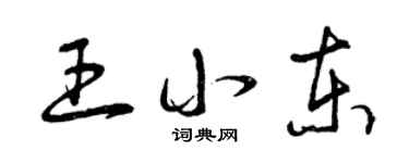 曾慶福王小東草書個性簽名怎么寫