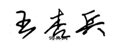 朱錫榮王杏兵草書個性簽名怎么寫