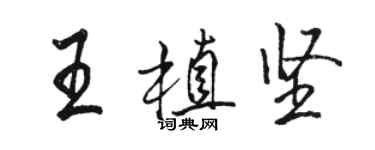 駱恆光王植堅行書個性簽名怎么寫