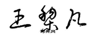 曾慶福王黎凡草書個性簽名怎么寫