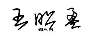 朱錫榮王昭盈草書個性簽名怎么寫