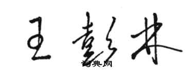 駱恆光王彭林草書個性簽名怎么寫