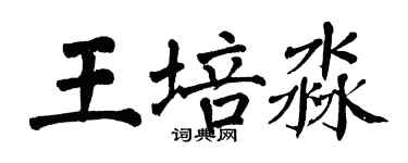 翁闓運王培淼楷書個性簽名怎么寫