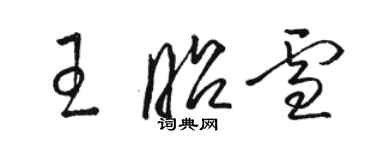 駱恆光王昭雪草書個性簽名怎么寫