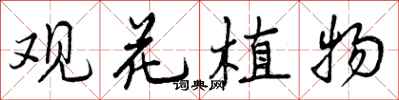 曾慶福觀花植物行書怎么寫