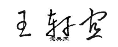 駱恆光王軒宜草書個性簽名怎么寫