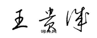 梁錦英王貴誠草書個性簽名怎么寫