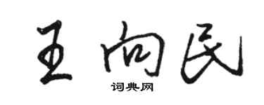 駱恆光王向民行書個性簽名怎么寫