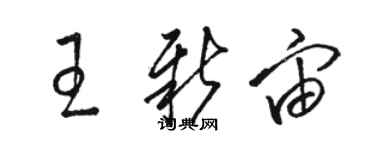 駱恆光王新宙草書個性簽名怎么寫