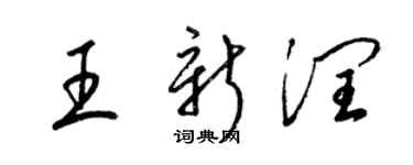 梁錦英王新潤草書個性簽名怎么寫