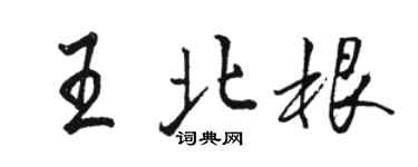 駱恆光王北根行書個性簽名怎么寫