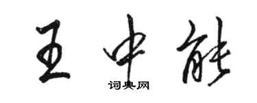 駱恆光王中能行書個性簽名怎么寫