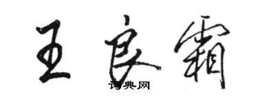 駱恆光王良霜行書個性簽名怎么寫