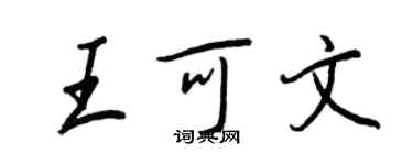 王正良王可文行書個性簽名怎么寫